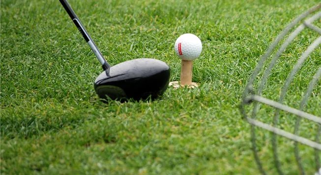 Silver Tee Driving Range photo 7